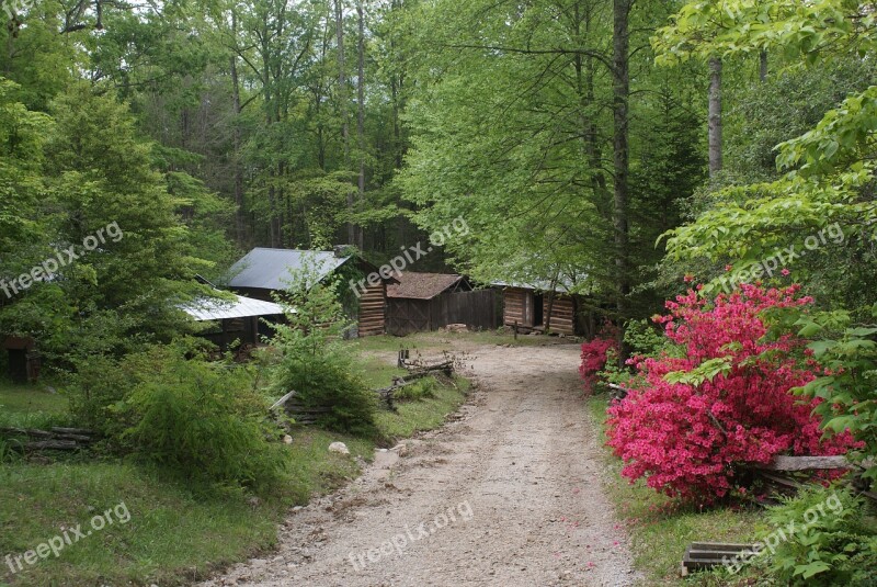 Spring Georgia Azaleas Ga County