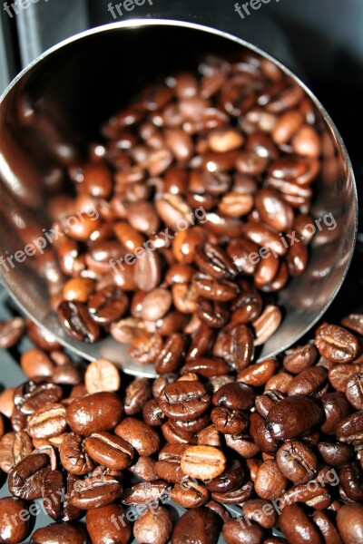 Coffee Beans Raw Natural Beverage