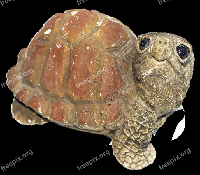 Turtle Figure Weel Ceramic Homemade