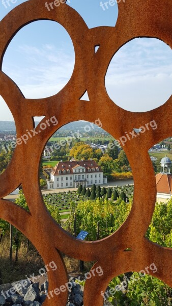 Vineyard Distant View Schloss Wackerbarth Free Photos