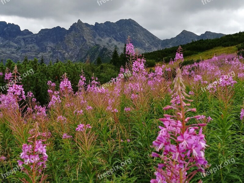 Tatry Hall Trail Mountains The High Tatras