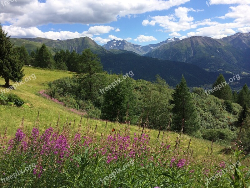 Alpine Nature Landscape Switzerland Mountains