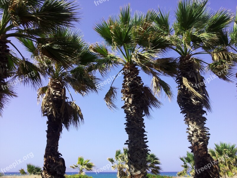 Palma Vacation Sea Water Sand