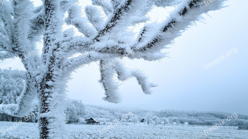 Wintry Hoarfrost Frost Winter Forest Aesthetic