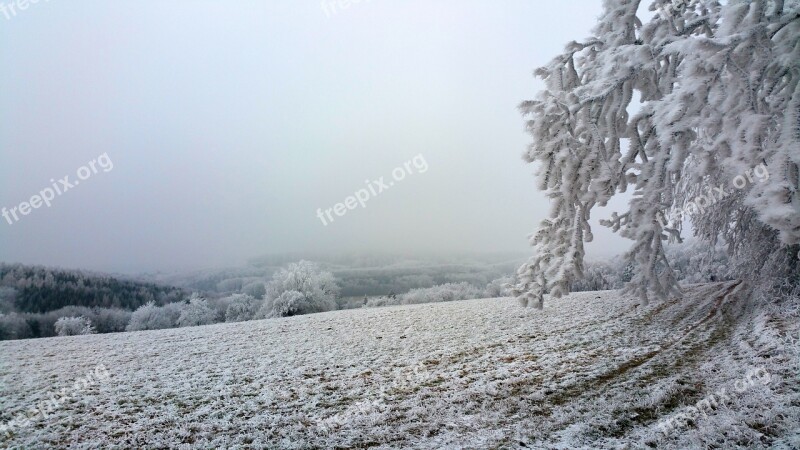 Wintry Hoarfrost Forest Fields Frost