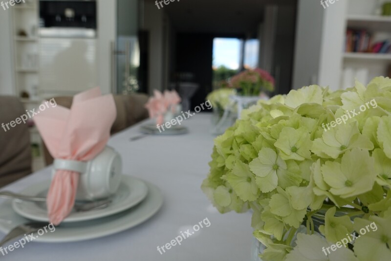 Eat Gourmet Buffet Table Decoration Free Photos