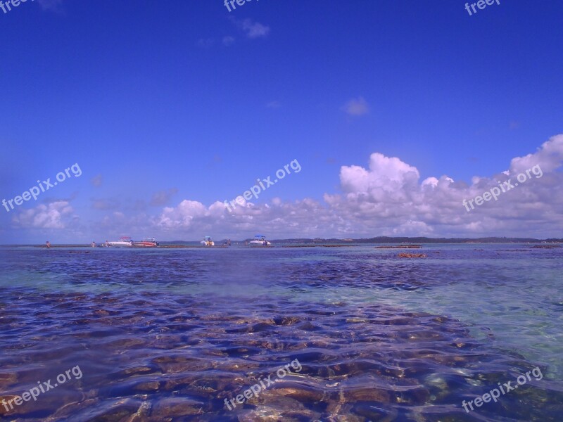 Northeast Beaches Brazil Nature Sol