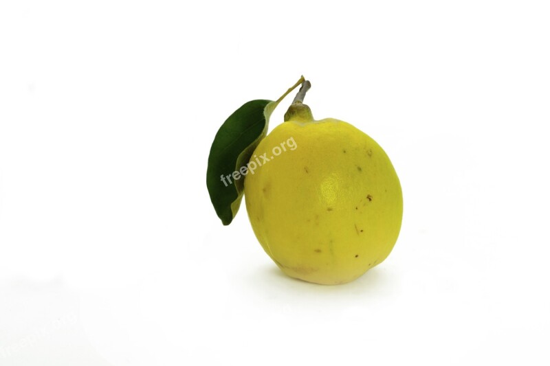 Quince Fruit Pome Fruit Yellow Autumn