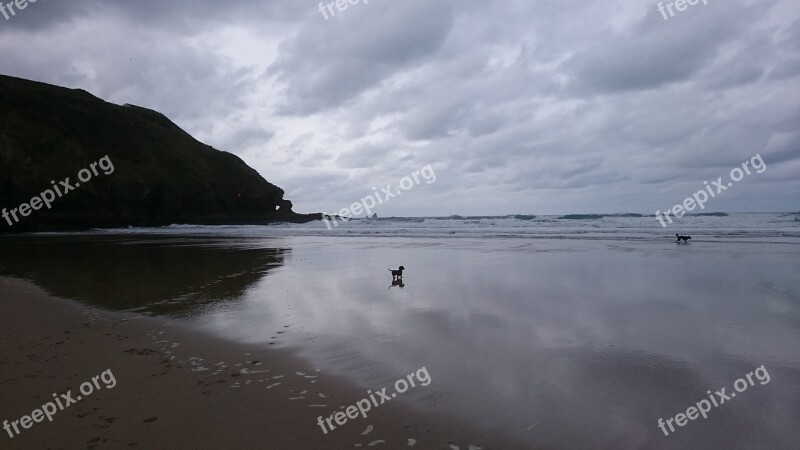 Beach Coast Dog Clouds Sky