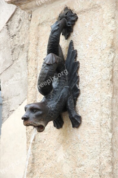 Gargoyles Fountain Water Water Feature Figure