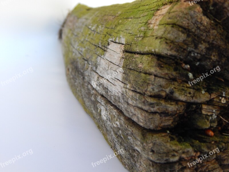 Wood Stake Fence Wheels Wooden