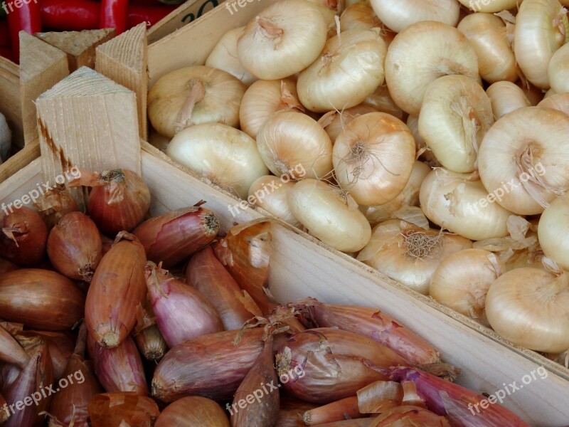 Onion Vegetables Market Food Vegetable Onion