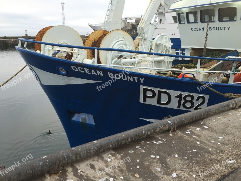 Fish Market Peterhead Fish Free Photos