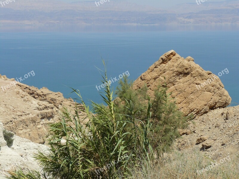 Dead See Bamboo Rocks Landscape Free Photos