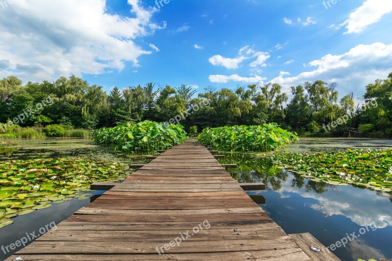 Republic Of Korea Paju Byeokchoji Culture Arboretum Cloud