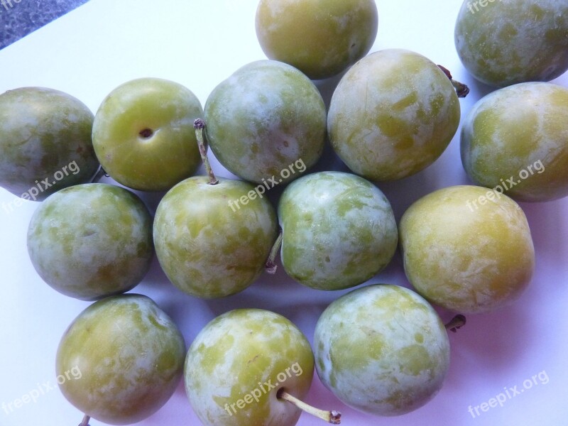 Greengages Gages Fruit Summer Food