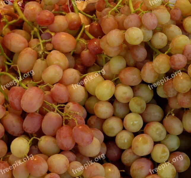 Grapes Sweet Fruit Green Vine