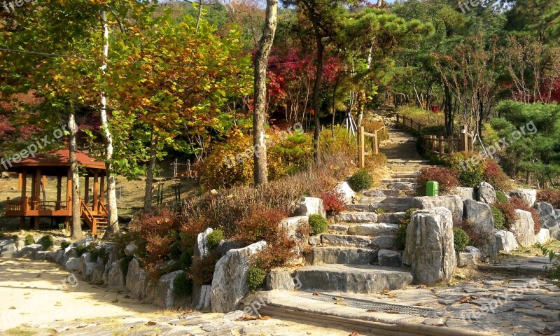 Autumn Gil Forest Road Nature Autumn Leaves