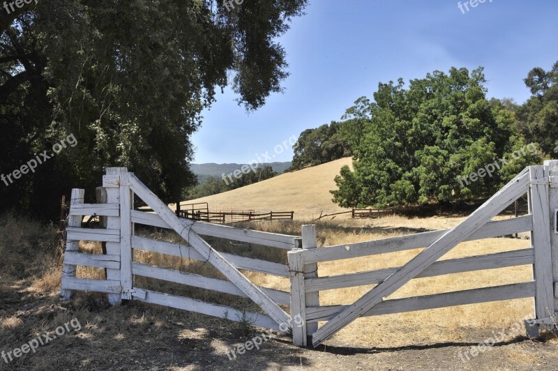 Gate Pasture Pasture Fence Nature Grass