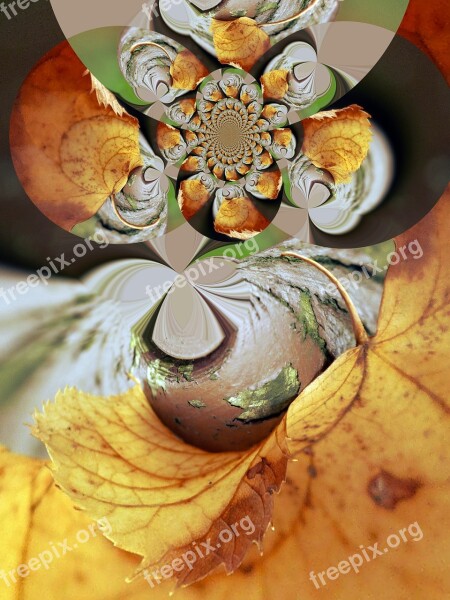 Abstract Leaf Fantasy Ornament Autumn