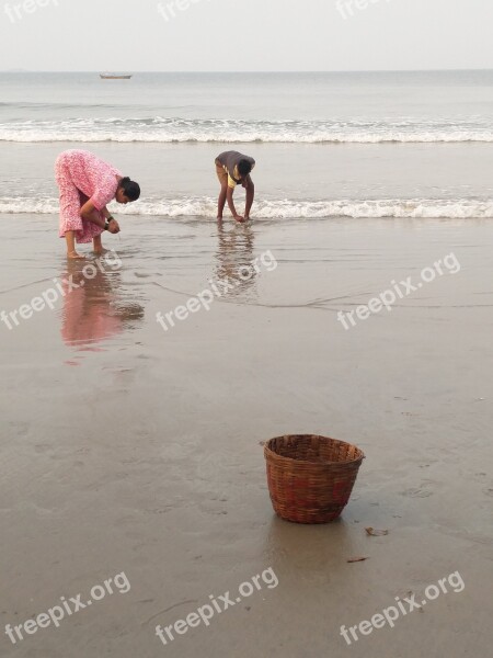 Sea Shells Picking Lunch Beach