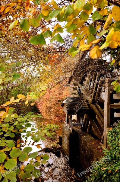 Fall Foliage Waterwheel Creek Golden October Free Photos