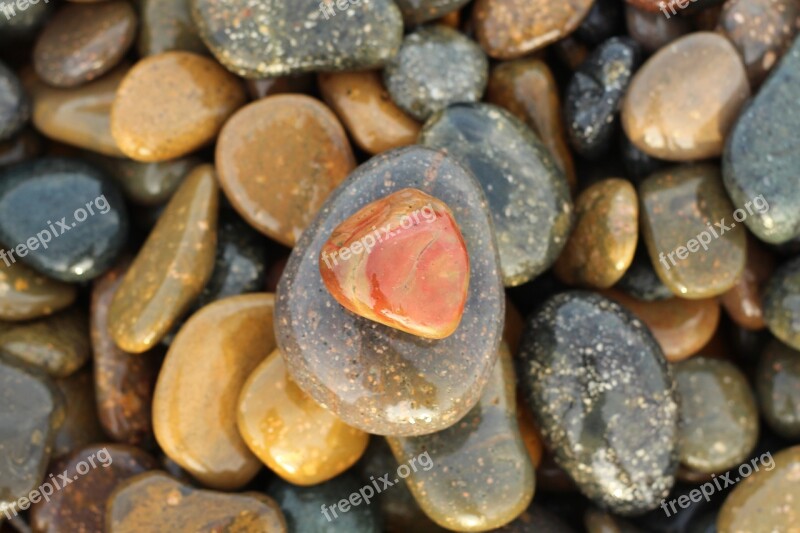 Antique Jelly Binh Thuan The Rocky Rock The Beach