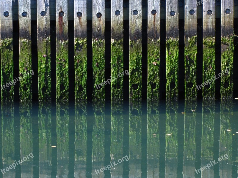 Canal Algae Dock Free Photos