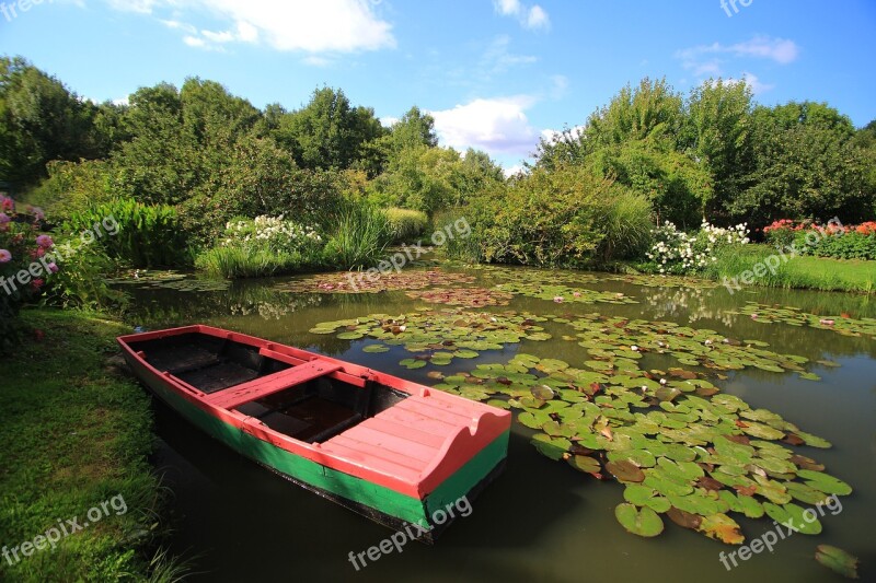 Pond Water Lilies Flower Aquatic Plant Nature