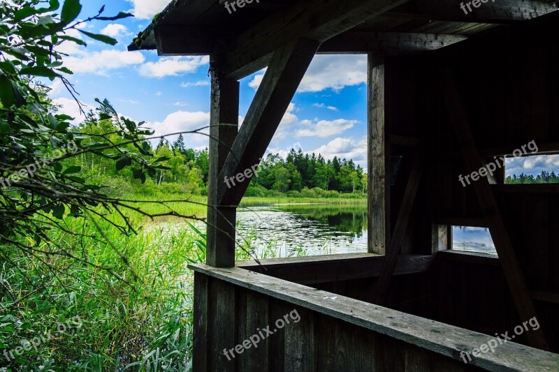 Schreckensee Pond Nature Reserve Waters Swamp