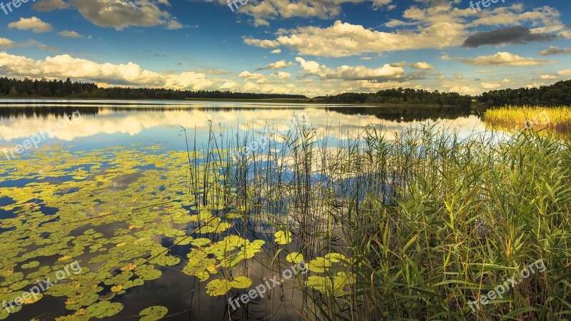 Schreckensee Pond Nature Reserve Waters Swamp