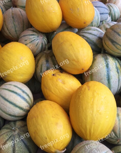 Food Melon Fruit Harvest Orange