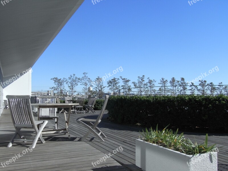 Rooftop Greening Terrace Sunshine Free Photos