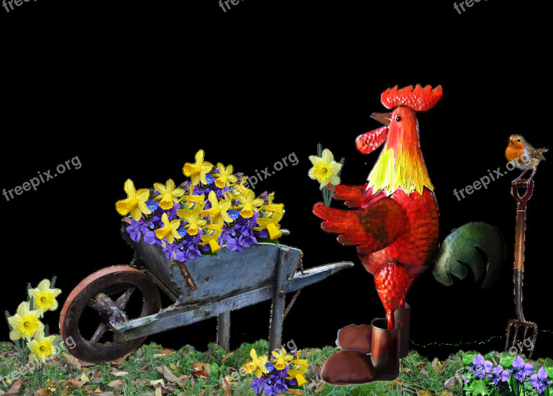 Rooster Barrow Flowers Garden Free Photos