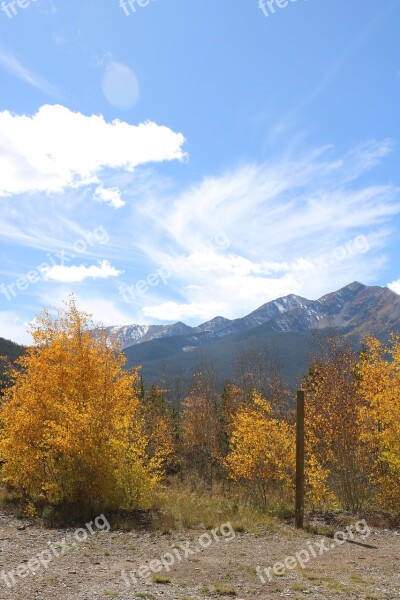 Autumn Fall Bush Landscapes Landscape