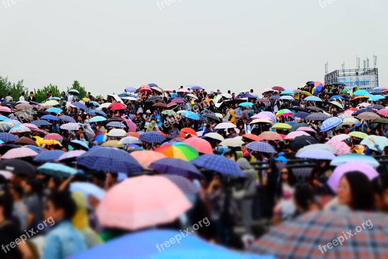 Umbrella Music Festival Cloudy Day Color Free Photos