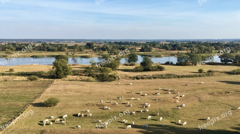 Or Or Country Or Hanging Lebus River Floodplain