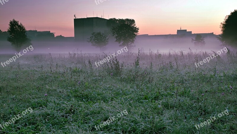 The Fog National Library Warsaw Meadow Mokotowskie Field