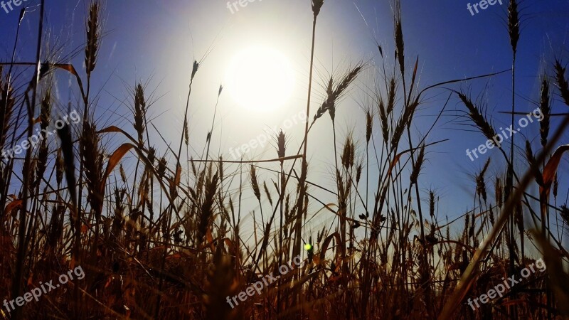 Kurdistan Iraq Sun Mountain Nature