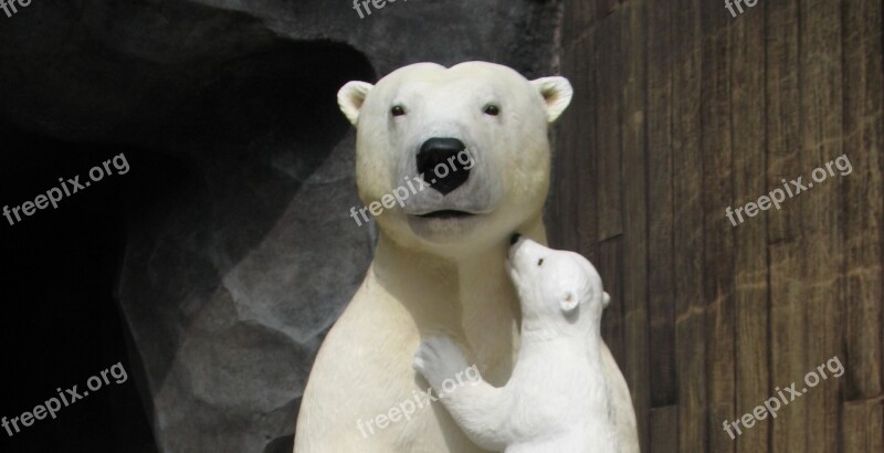 Bears Polar Bears Mother Bear Bear Cub Free Photos