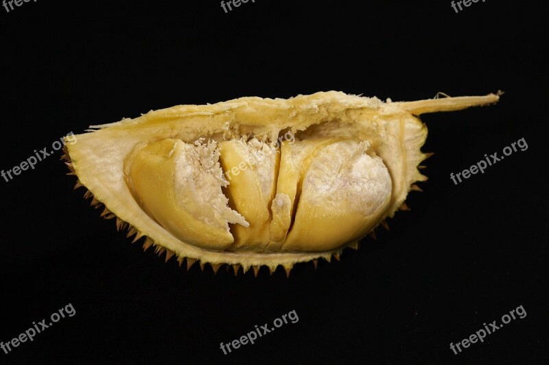 Durian Fruit King Of Fruits Tropical Delicious Thorny Fruit