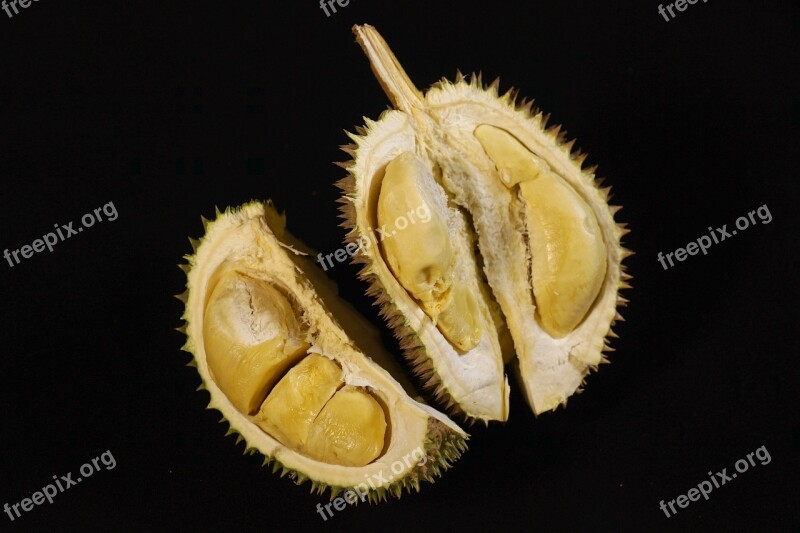 Durian Fruit King Of Fruits Tropical Delicious Thorny Fruit