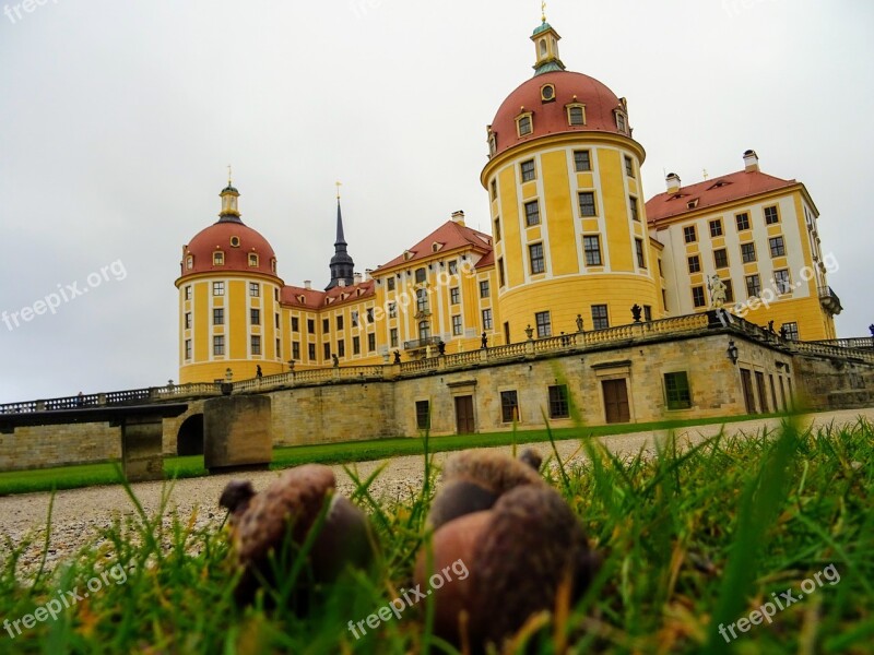 Dresden Moritzburg Cinderella Germany Trip