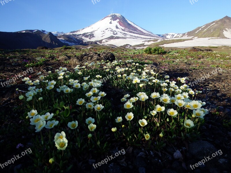 Volcano The Foot Flowers Mountains Landscape