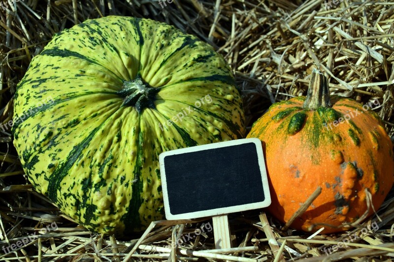 Pumpkin Gourd Autumn Orange Pumpkins Autumn