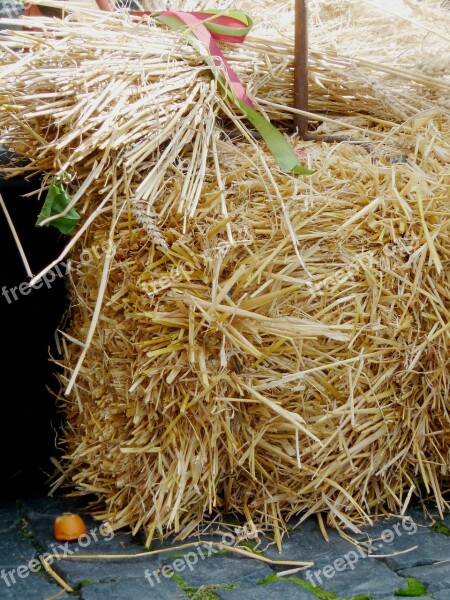 Hay Autumn Straw Straw Bales Harvest