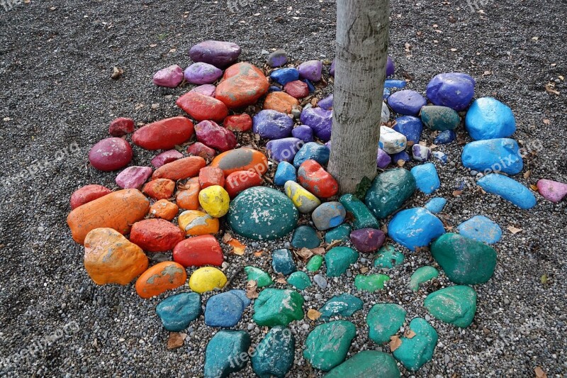 Stones Colorful Tree Nature Sand