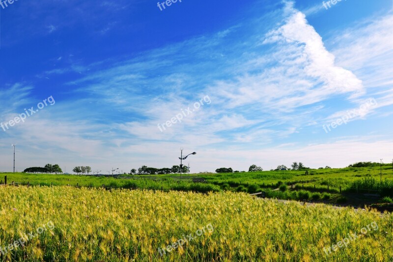 Seoul Cloud Sky Republic Of Korea Scenery