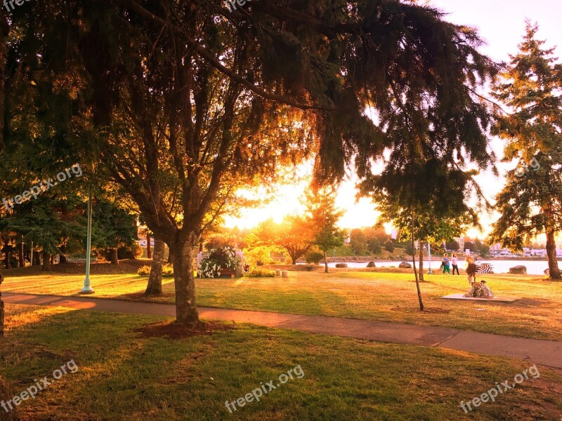 Park Sunset Walk Nature Landscape