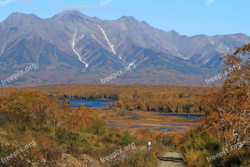 Autumn Lake Forest Tundra Swamp